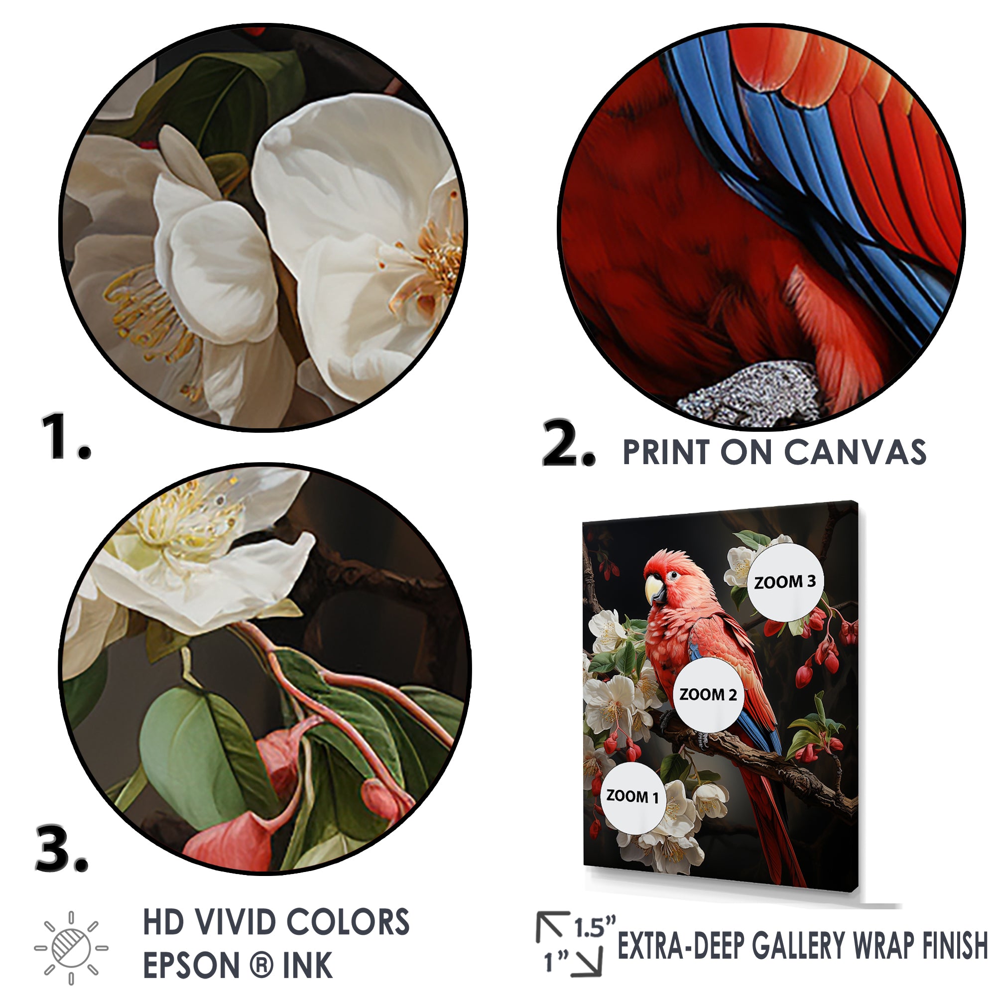 Red Parrot S Lively Radiance - Red Parrot Wall Art