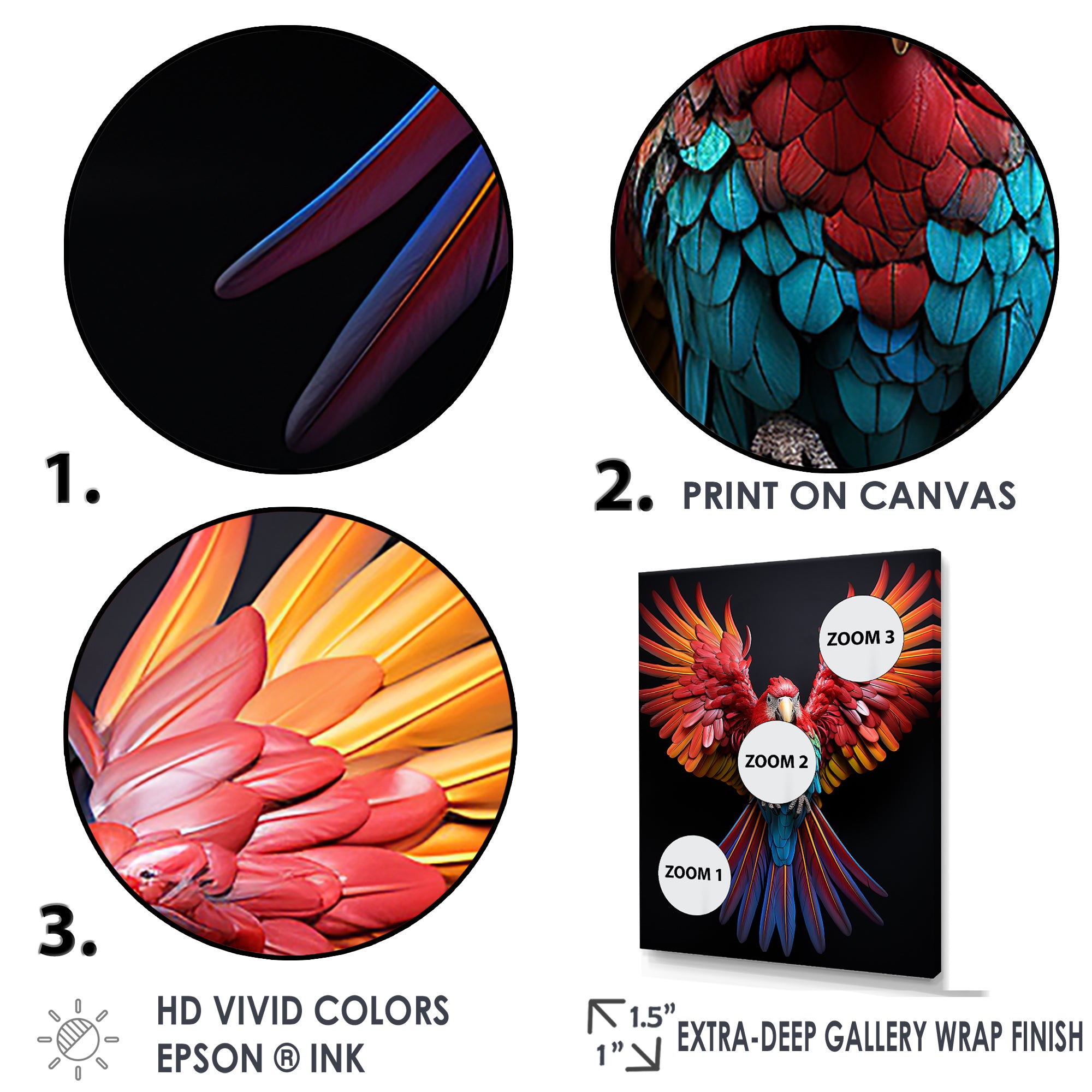 Parrot S Whimsical Wings - Parrot Canvas Wall Art