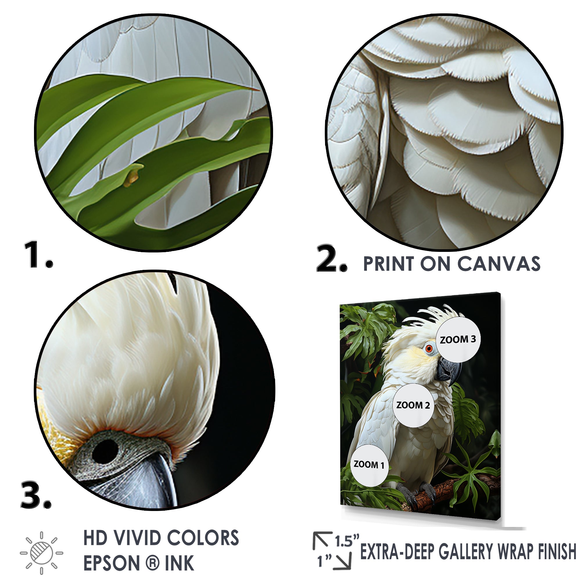 Cockatoo S Tropical Haven - Parrot Wall Decor