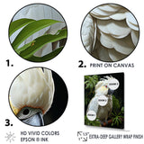 Cockatoo S Tropical Haven - Parrot Wall Decor