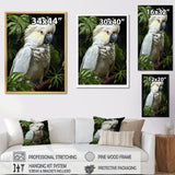 Cockatoo S Tropical Haven - Parrot Wall Decor