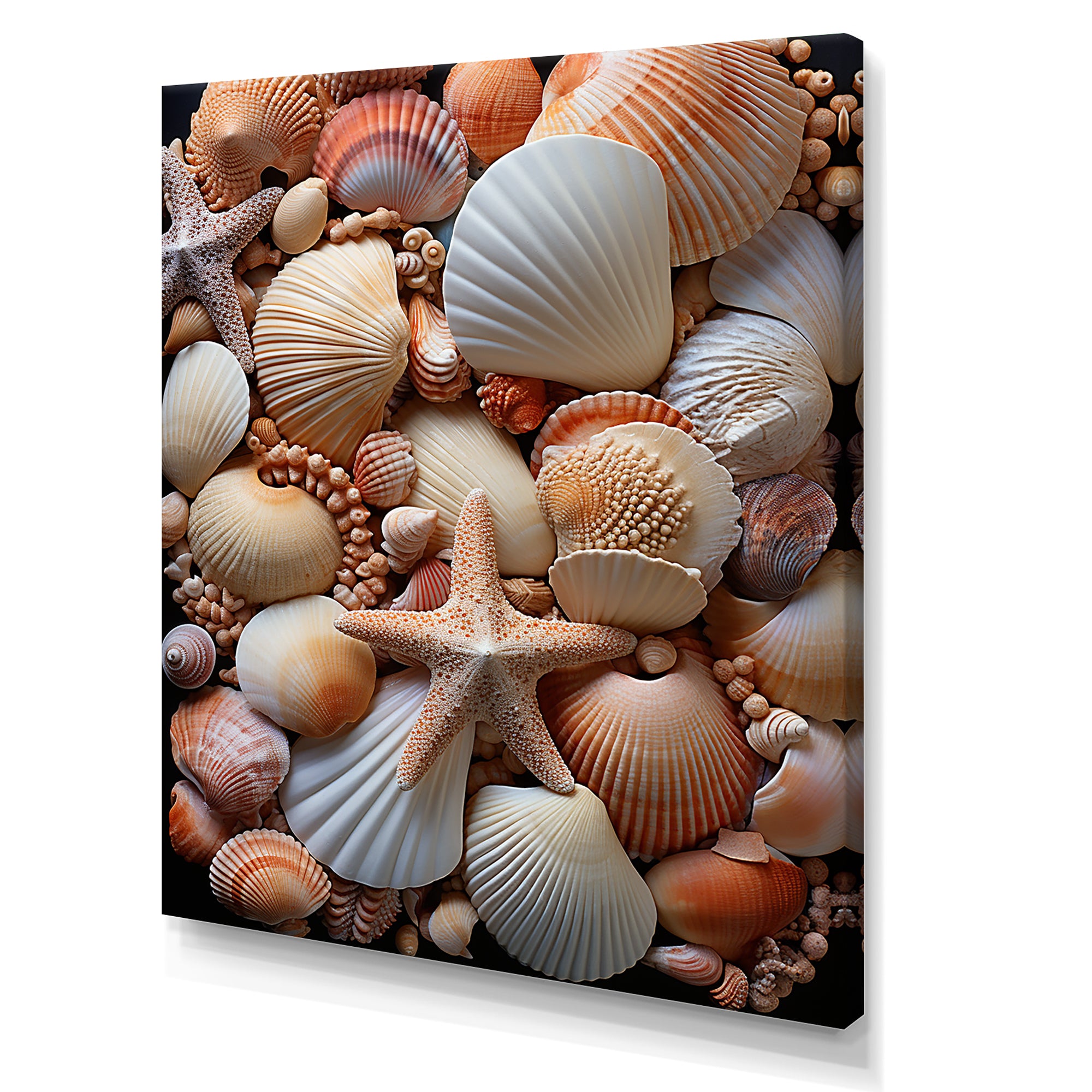 Classic Seashells By The Sea - Seashell Large Canvas Wall Art
