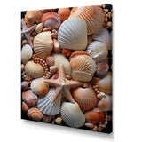 Classic Seashells By The Sea - Seashell Large Canvas Wall Art