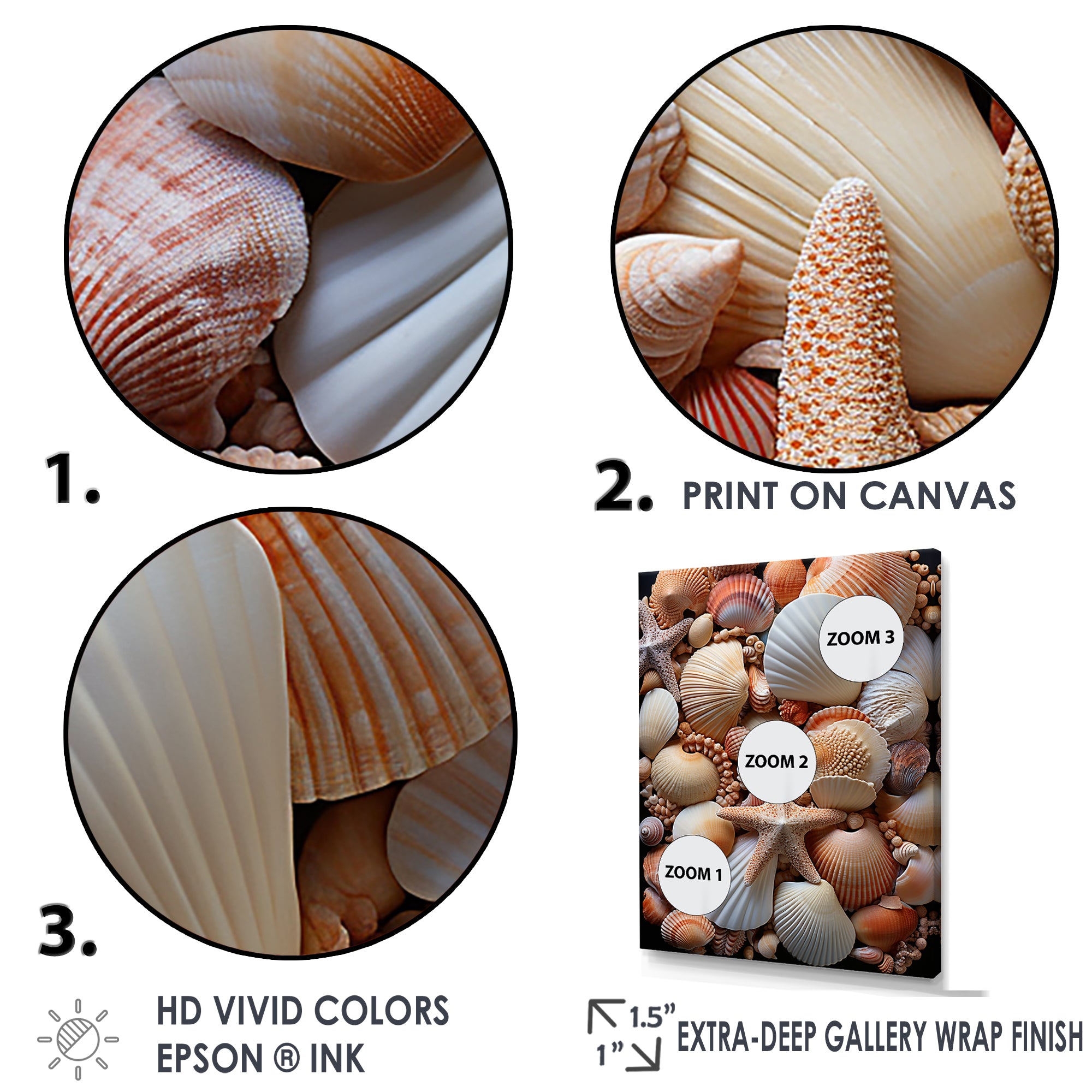 Classic Seashells By The Sea - Seashell Large Canvas Wall Art
