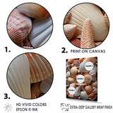 Classic Seashells By The Sea - Seashell Large Canvas Wall Art