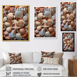 Classic Seashells By The Sea - Seashell Large Canvas Wall Art