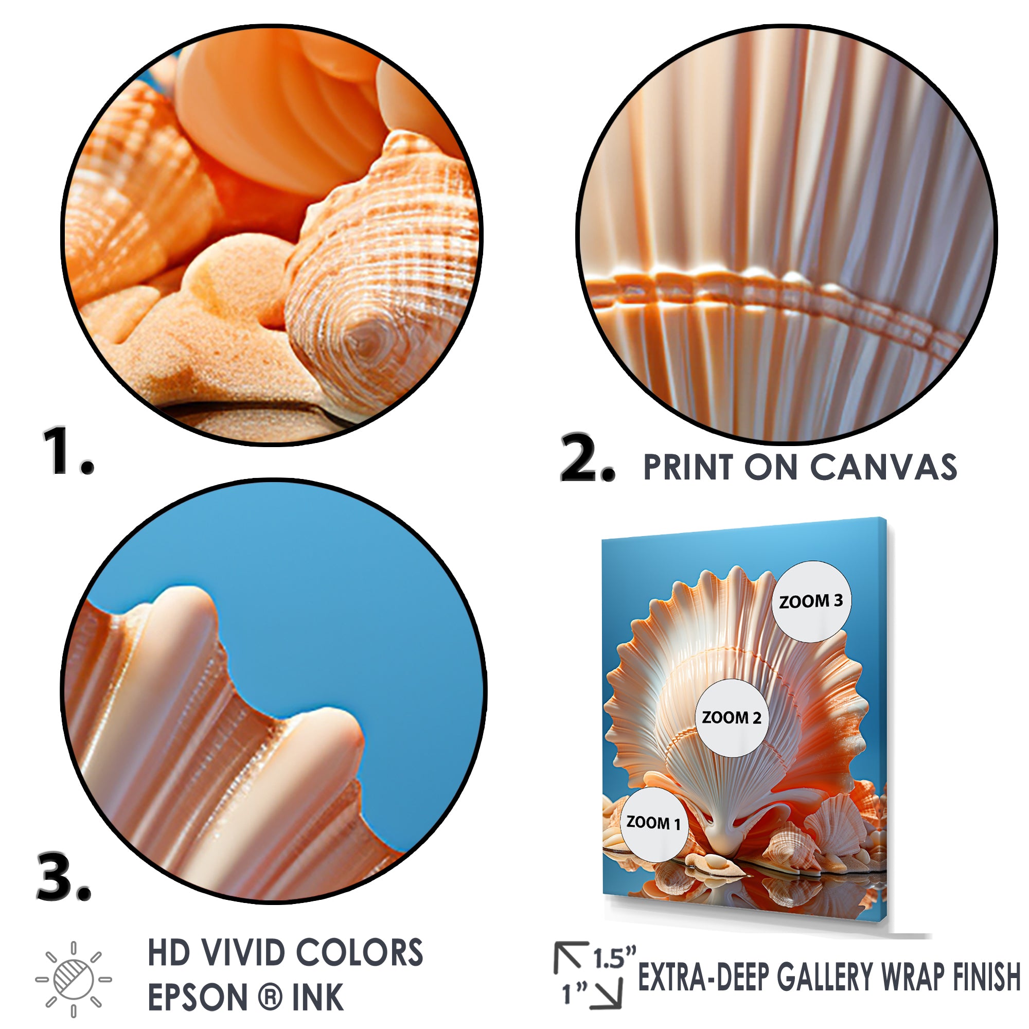 Opulent Symbolic Shells - Seashell Wall Decor