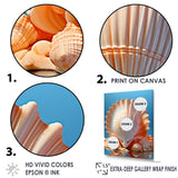 Opulent Symbolic Shells - Seashell Wall Decor