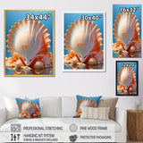 Opulent Symbolic Shells - Seashell Wall Decor