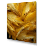 Golden Feather Grin - Feathers Wall Decor
