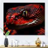 Serpents Stare - Snake Wall Art Prints