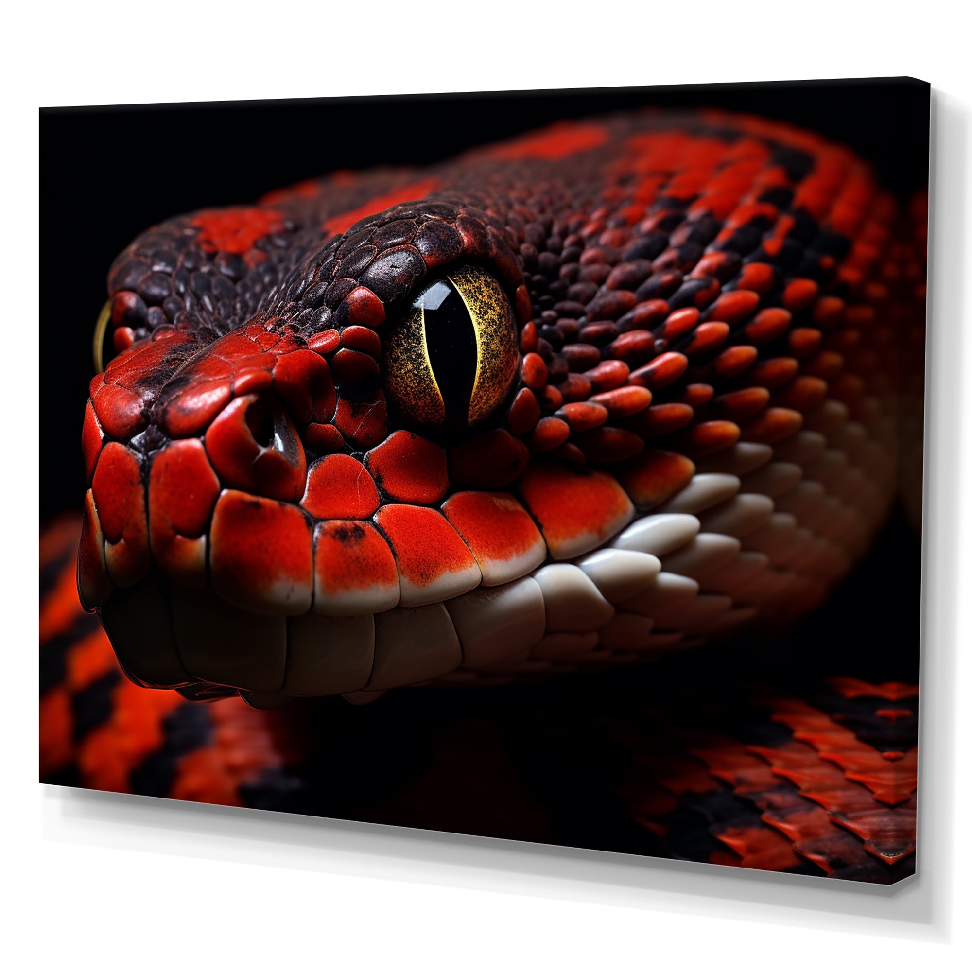 Serpents Stare - Snake Wall Art Prints