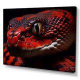 Serpents Stare - Snake Wall Art Prints