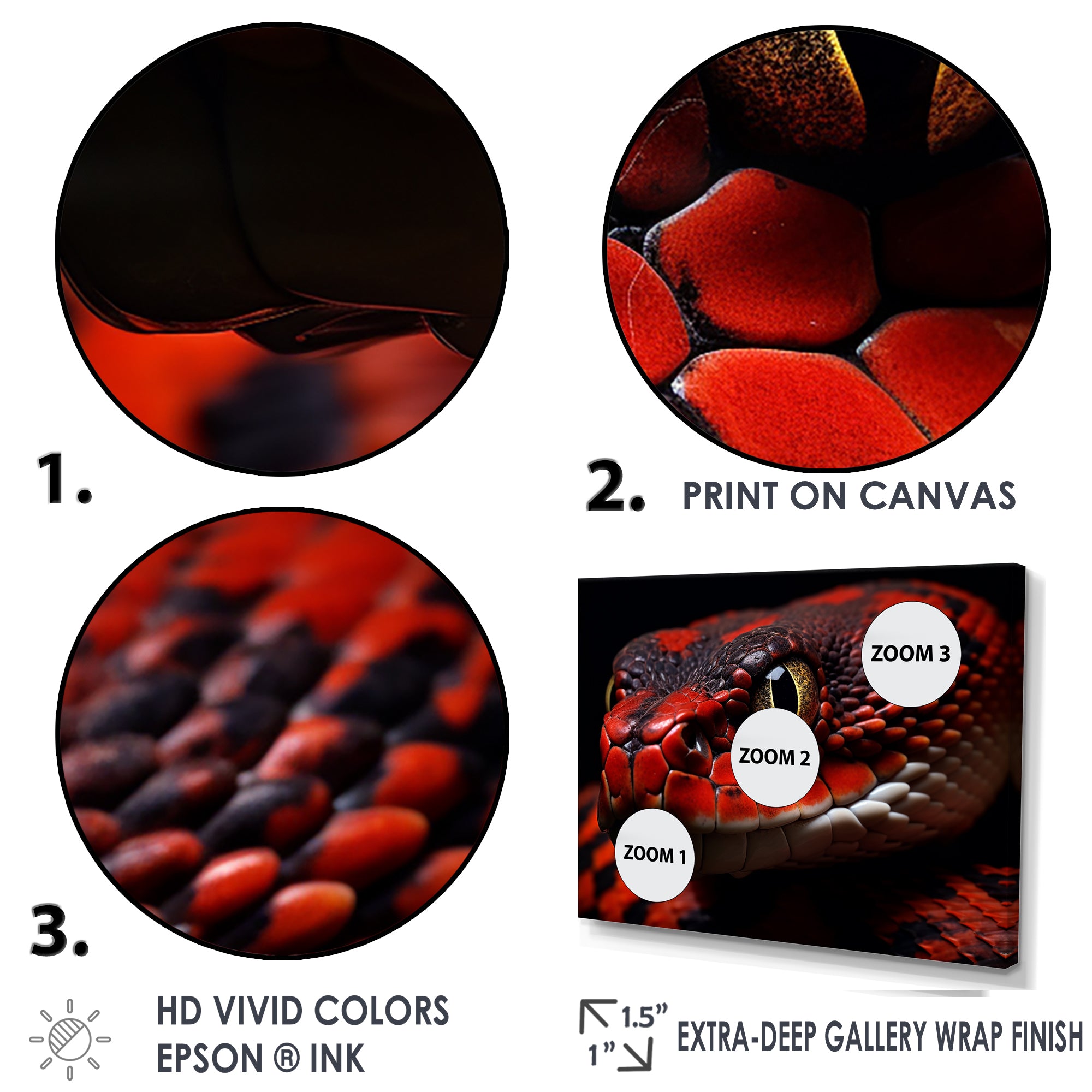 Serpents Stare - Snake Wall Art Prints