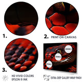 Serpents Stare - Snake Wall Art Prints