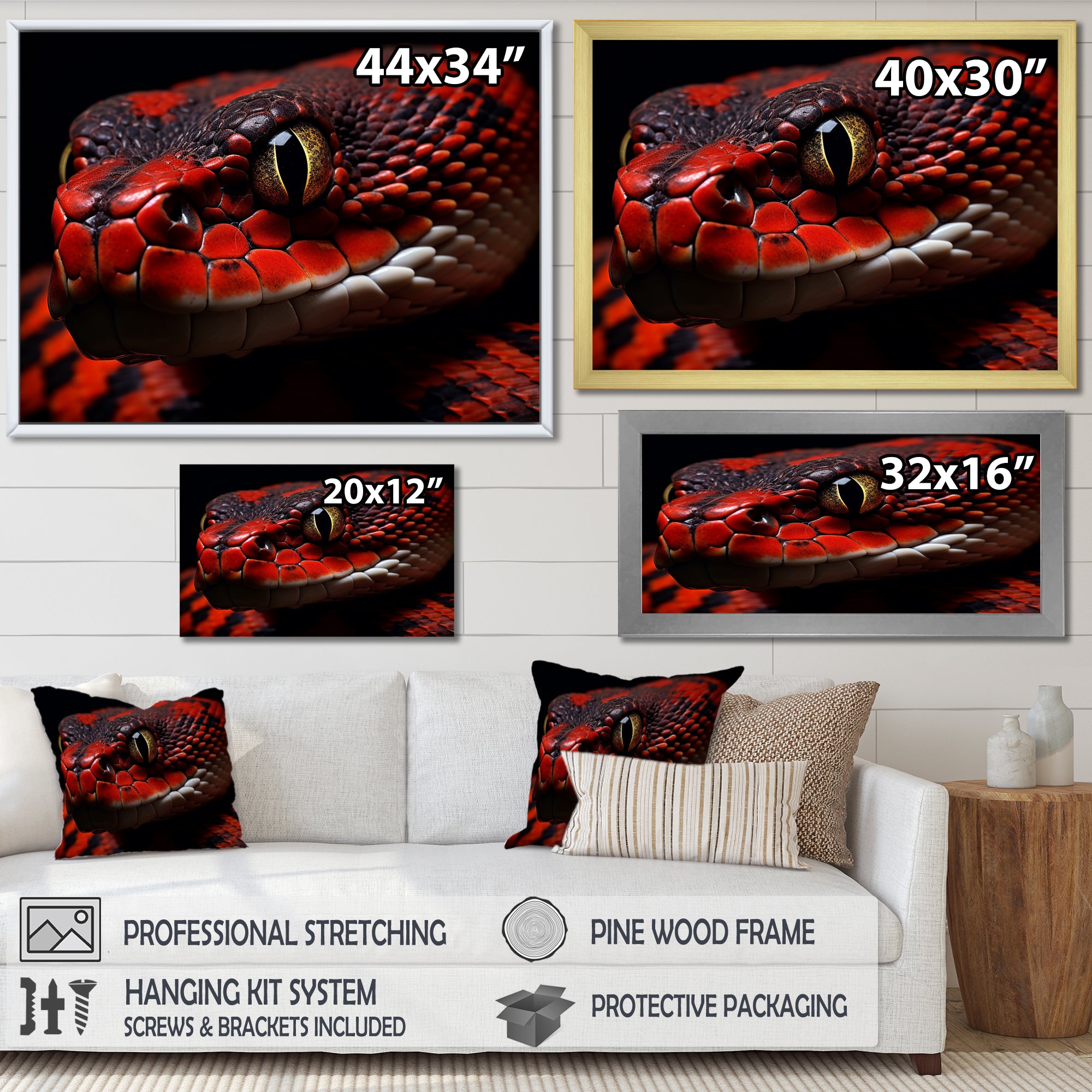 Serpents Stare - Snake Wall Art Prints