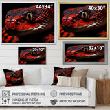 Serpents Stare - Snake Wall Art Prints