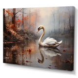 Swan In The Mist - Swans Wall Decor