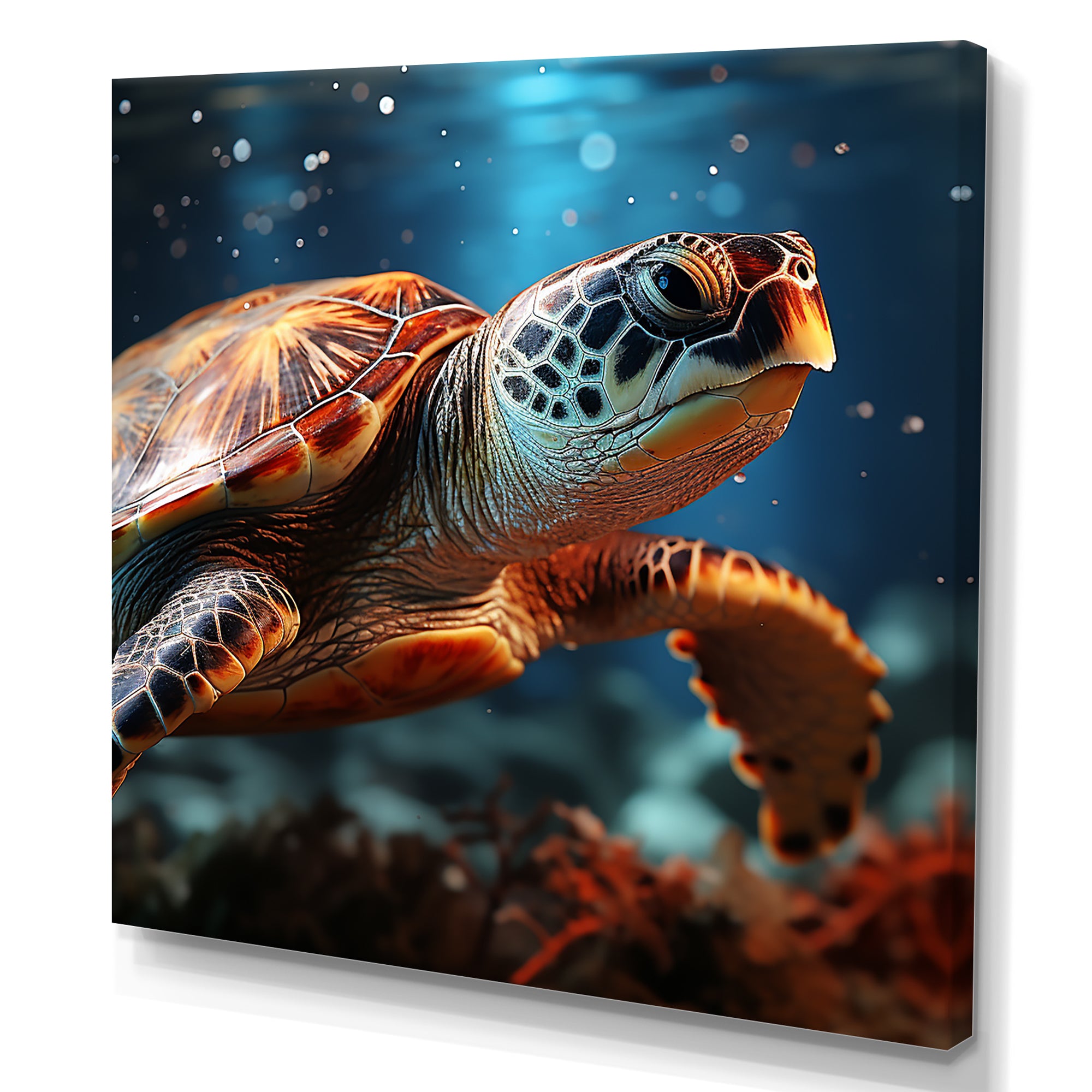 Abstract Harmony - Turtle Bedroom Wall Art