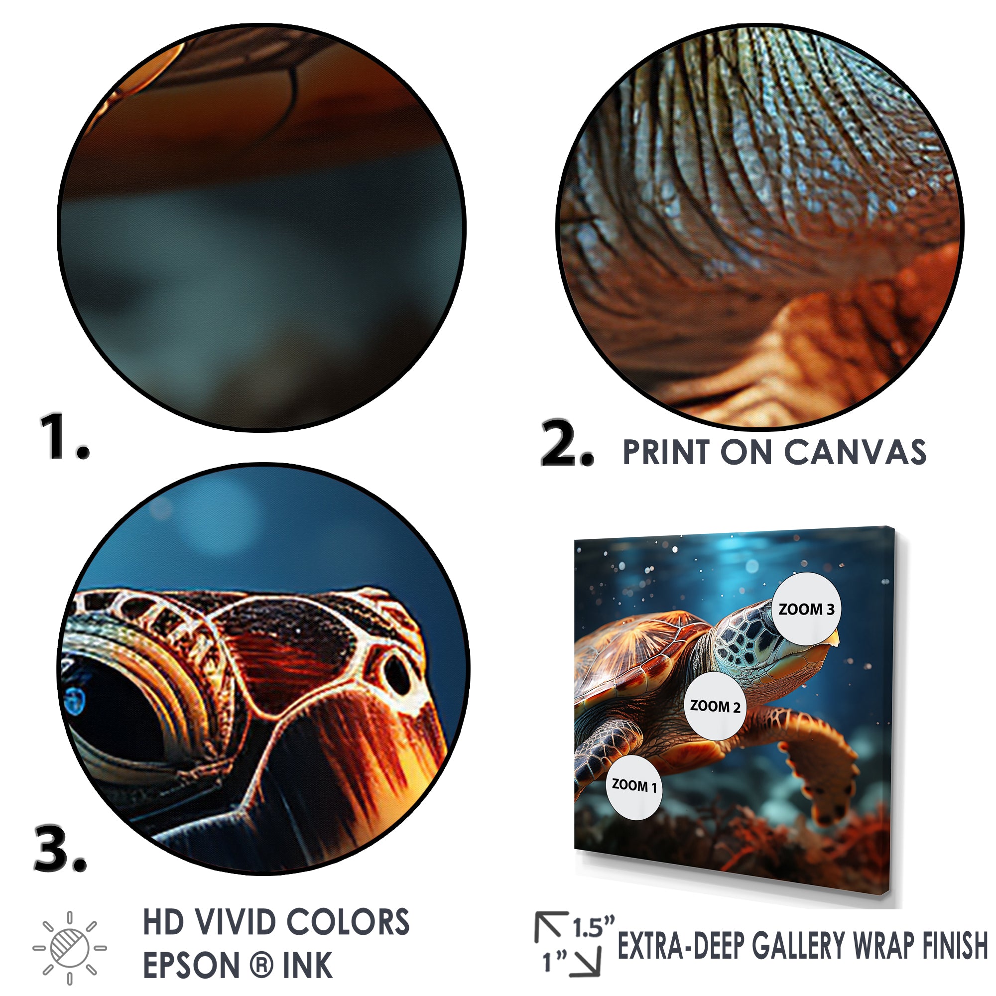 Abstract Harmony - Turtle Bedroom Wall Art