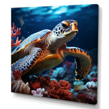 Abstract Serenity - Turtle Framed Canvas Art