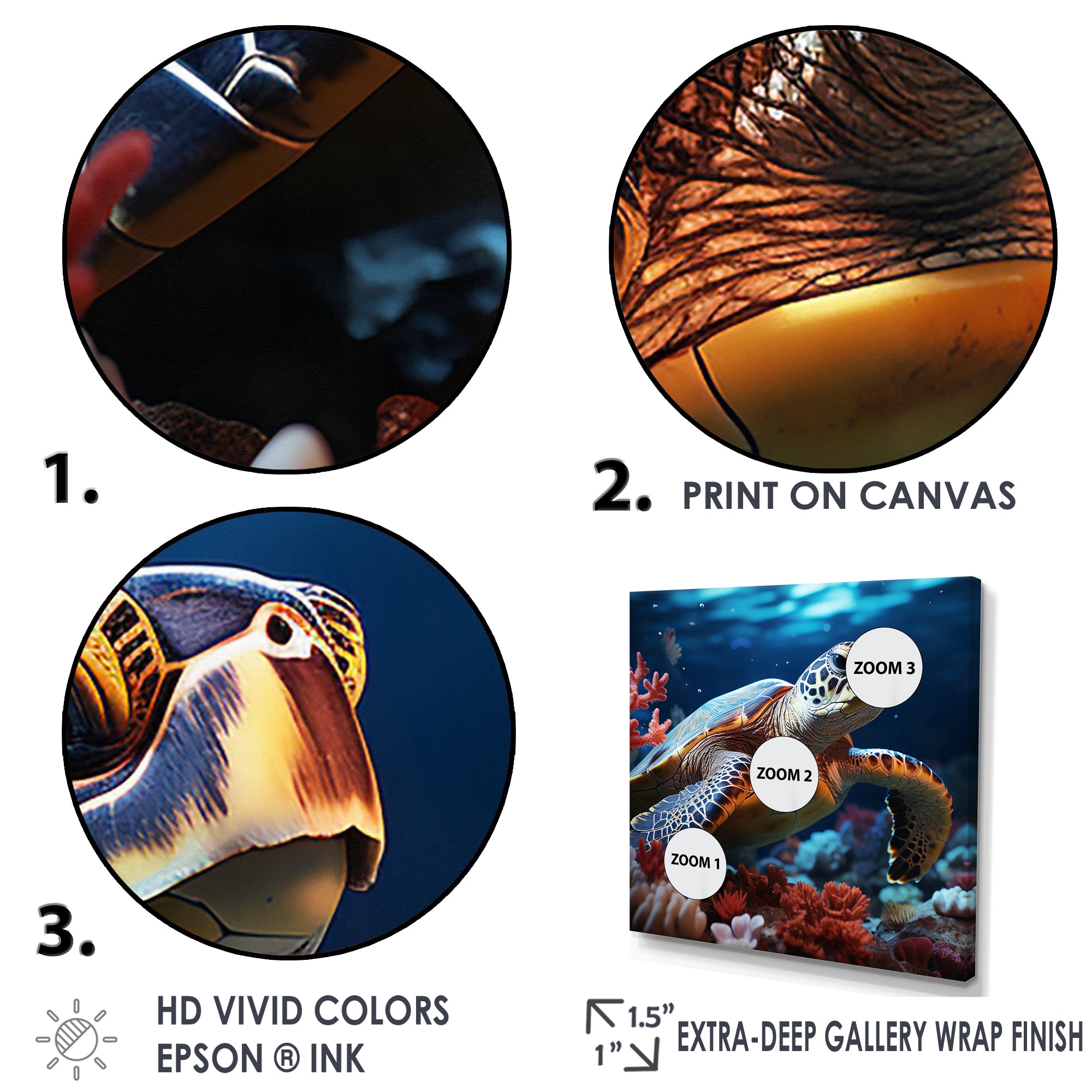 Abstract Serenity - Turtle Framed Canvas Art