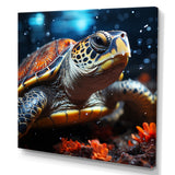 Abstract Swim - Turtle Home Decor Art