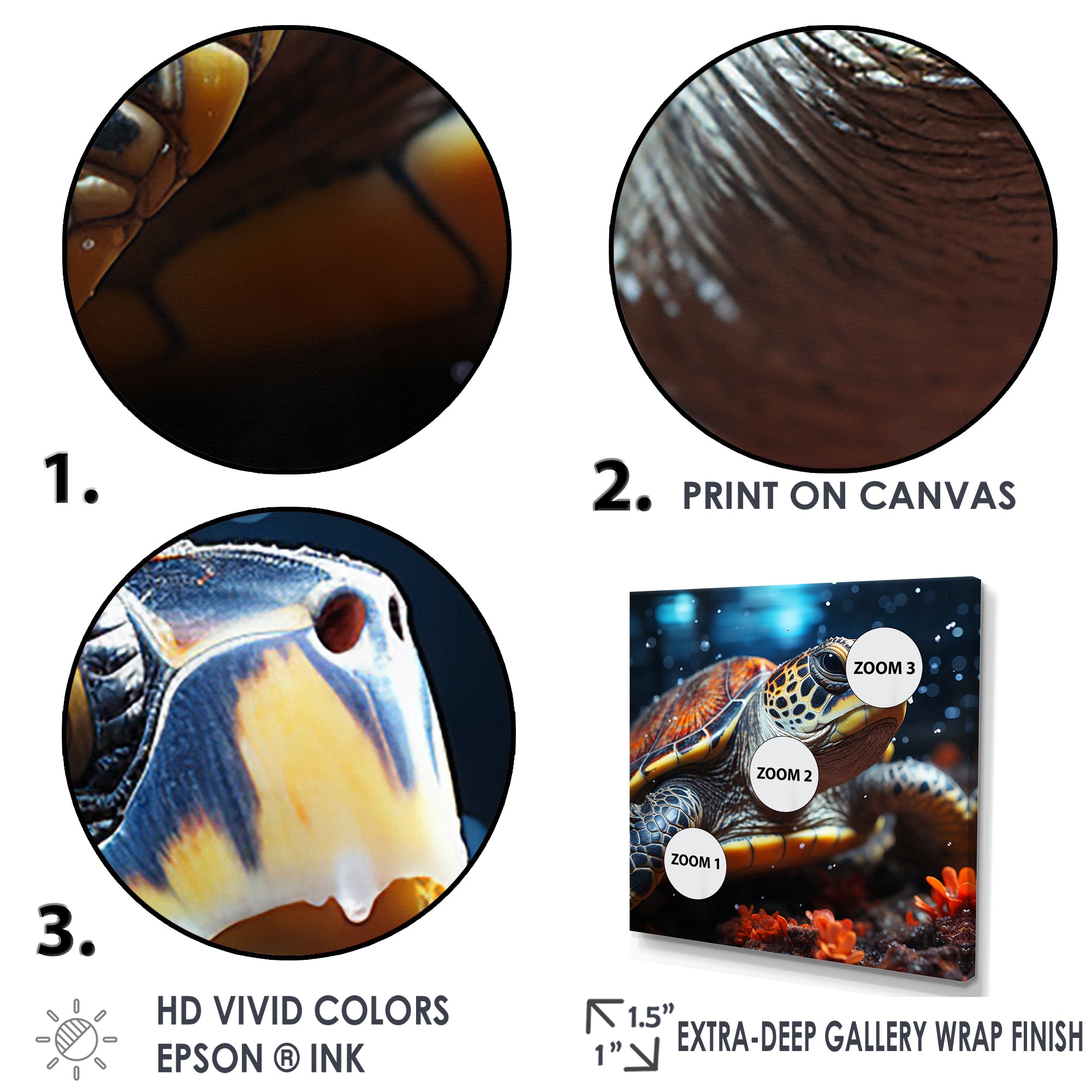 Abstract Swim - Turtle Home Decor Art