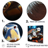 Abstract Swim - Turtle Home Decor Art