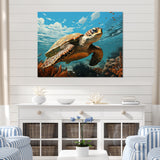 Classic Art Depiction Of A Turtles Coastal Life - Turtle Wall Decor