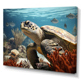 Classic Coastal Life - Turtle Wall Art Prints