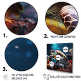 Tranquility Of A Turtle In A Dream - Turtle Framed Canvas Art