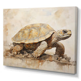 Minimalism Turtle Adventure - Turtle Wall Decor