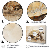 Minimalism Turtle Adventure - Turtle Wall Decor