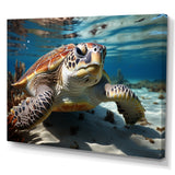 Minimalist Lagoon Turtle - Turtle Wall Art Prints