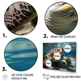 Minimalist Lagoon Turtle - Turtle Wall Art Prints