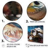 Curious Underwater Sea Turtle - Gray Turtle Wall Art