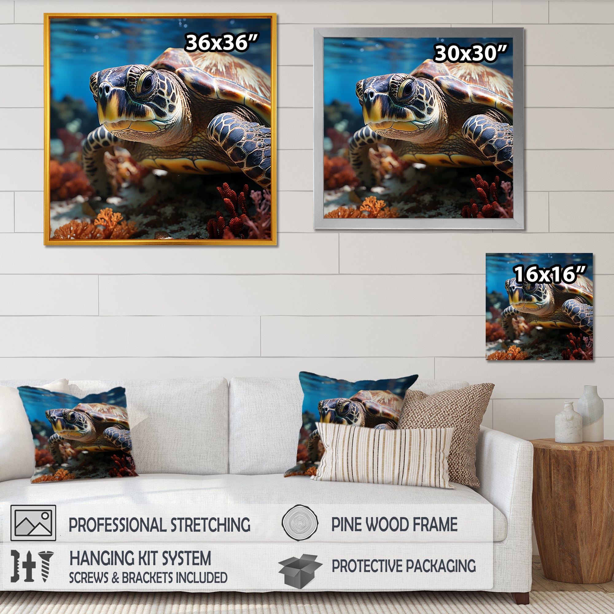 Curious Underwater Sea Turtle - Gray Turtle Wall Art