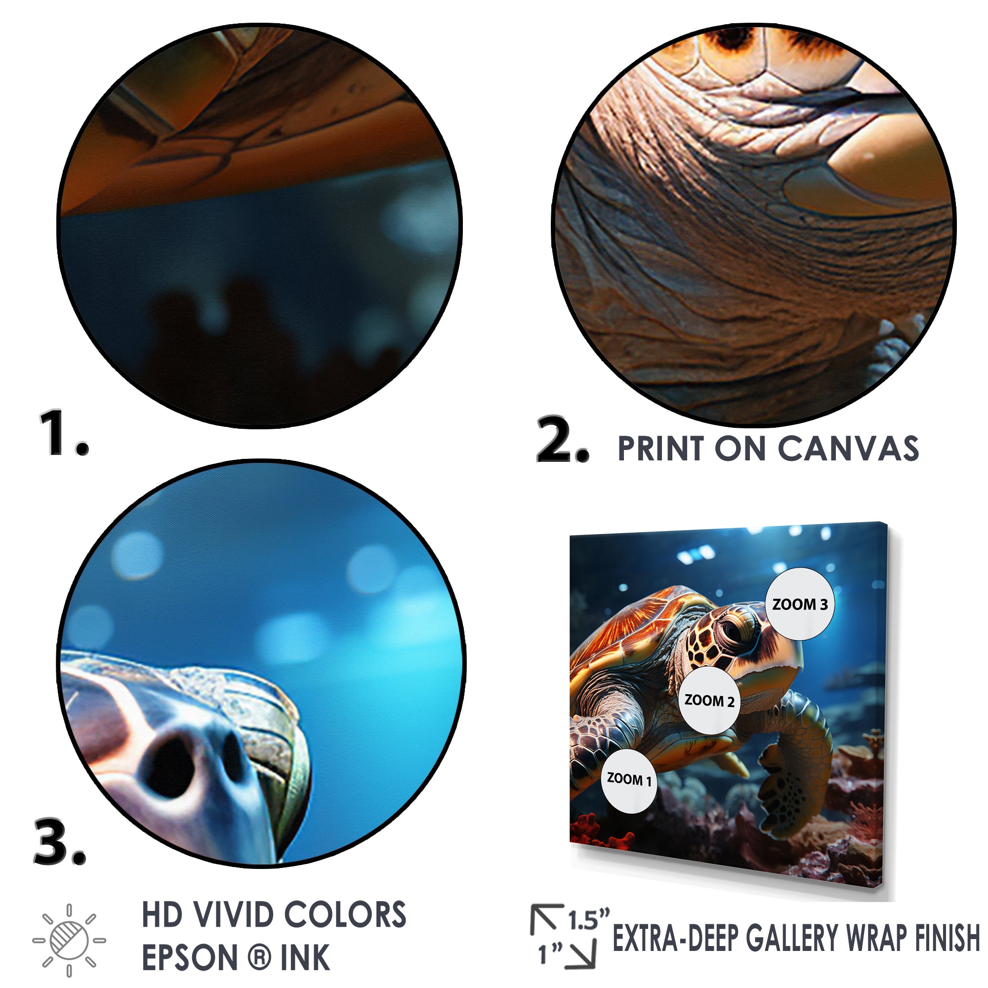 Realistic Portrayal Of A Turtle - Turtle Canvas Wall Art