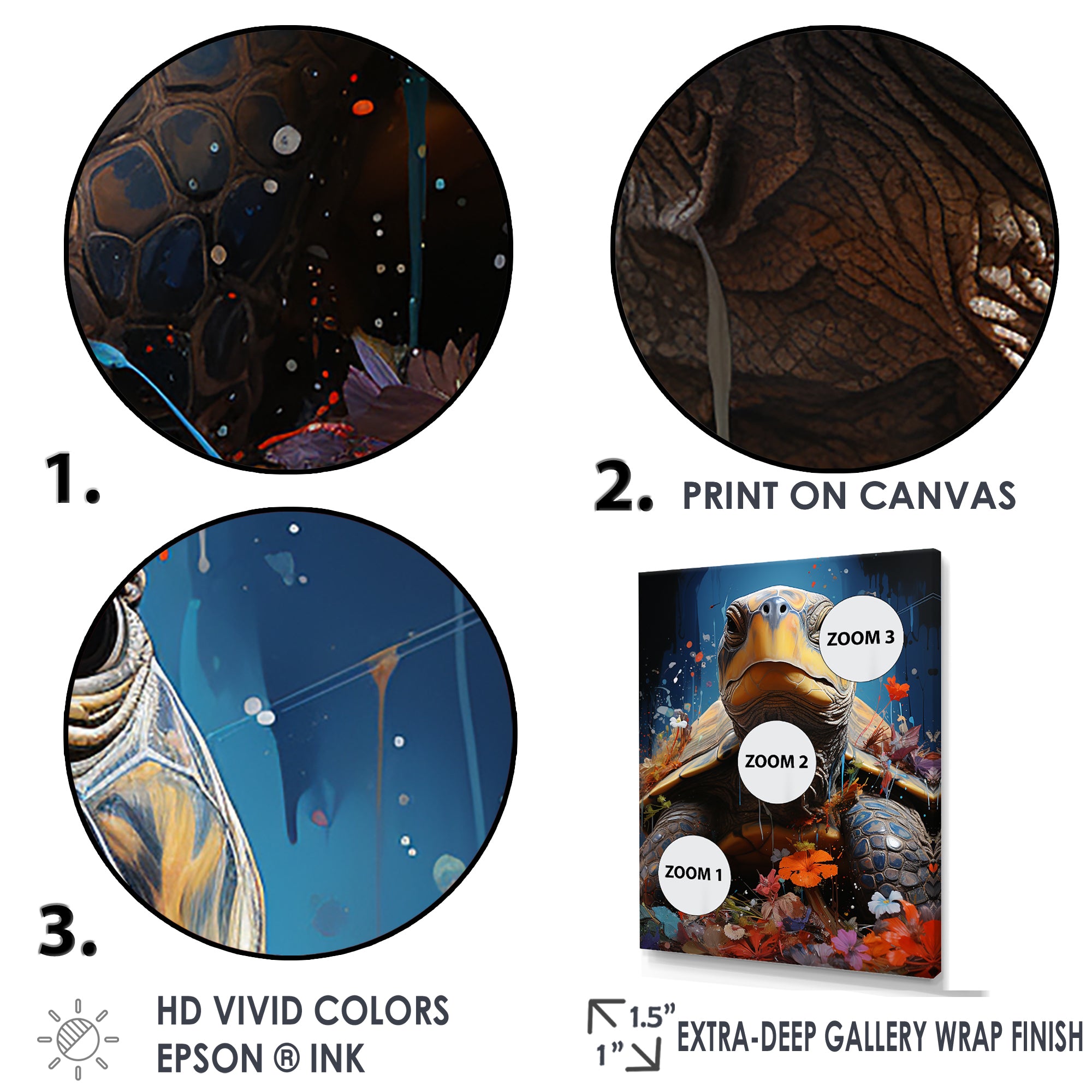 Street Art Turtle - Turtle Wall Art Prints