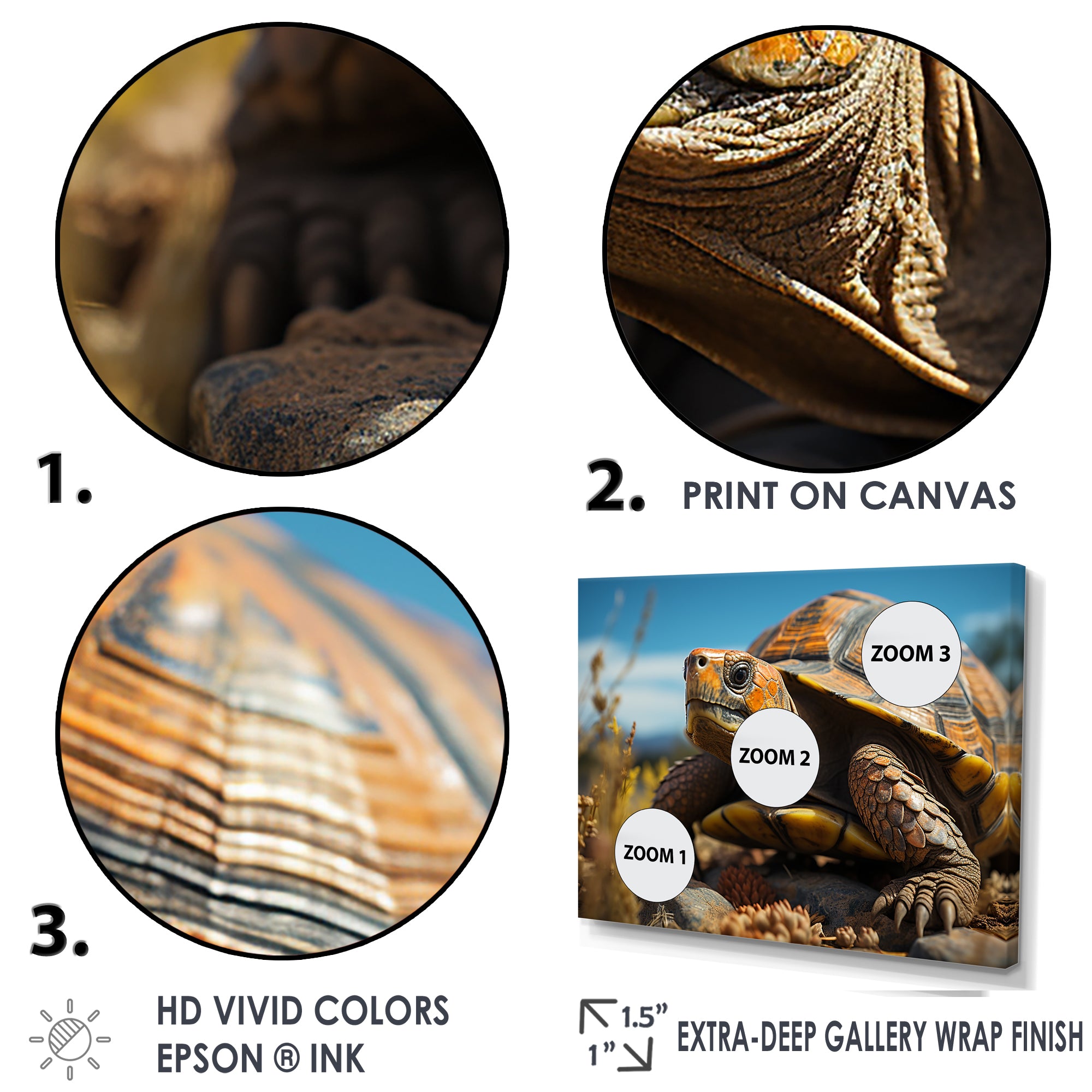 Symbolism - Turtle Living Room Wall Art