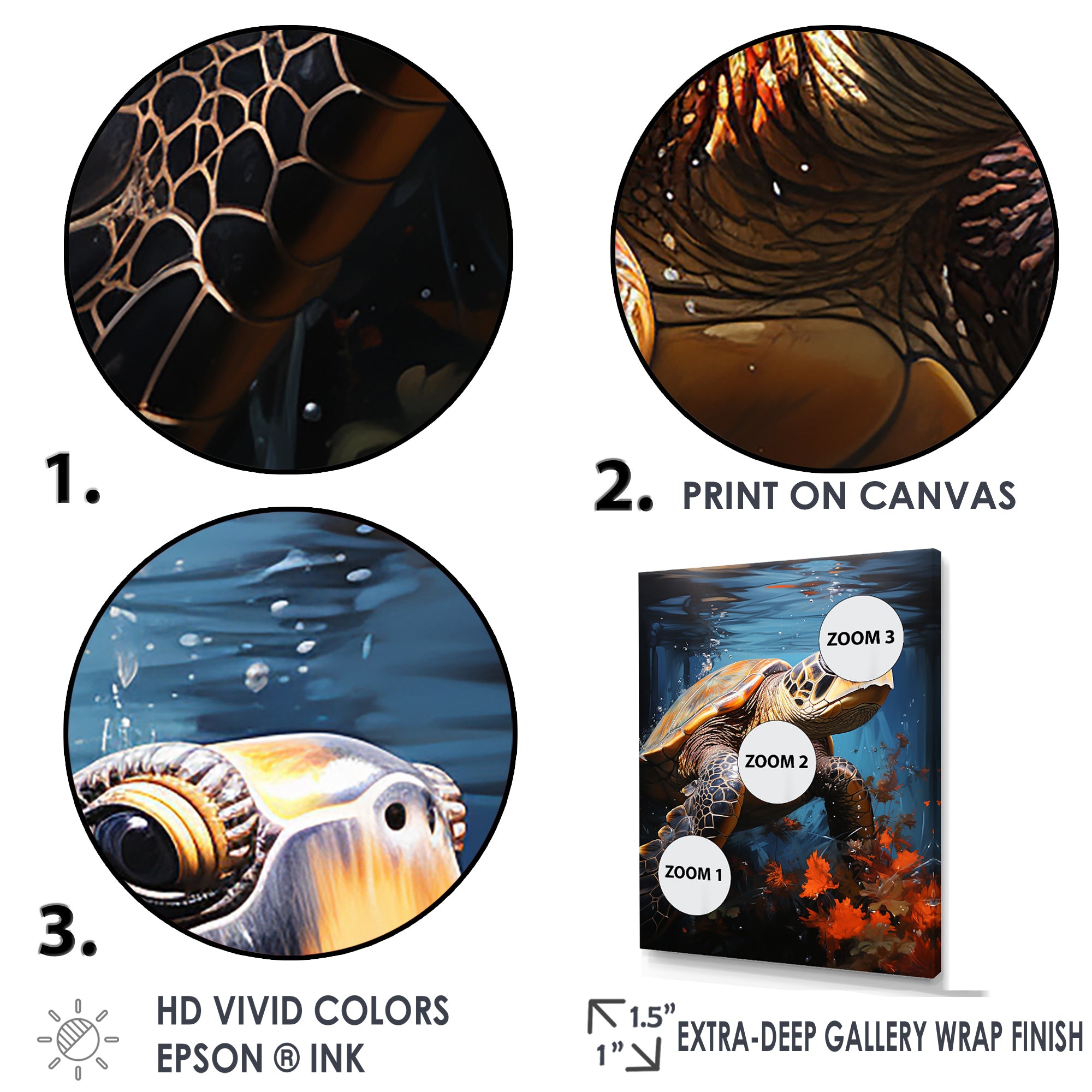 Urban Aquatic Explorer - Turtle Bedroom Wall Art