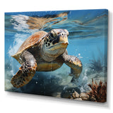 Watercolor Coast - Turtle Canvas Wall Art