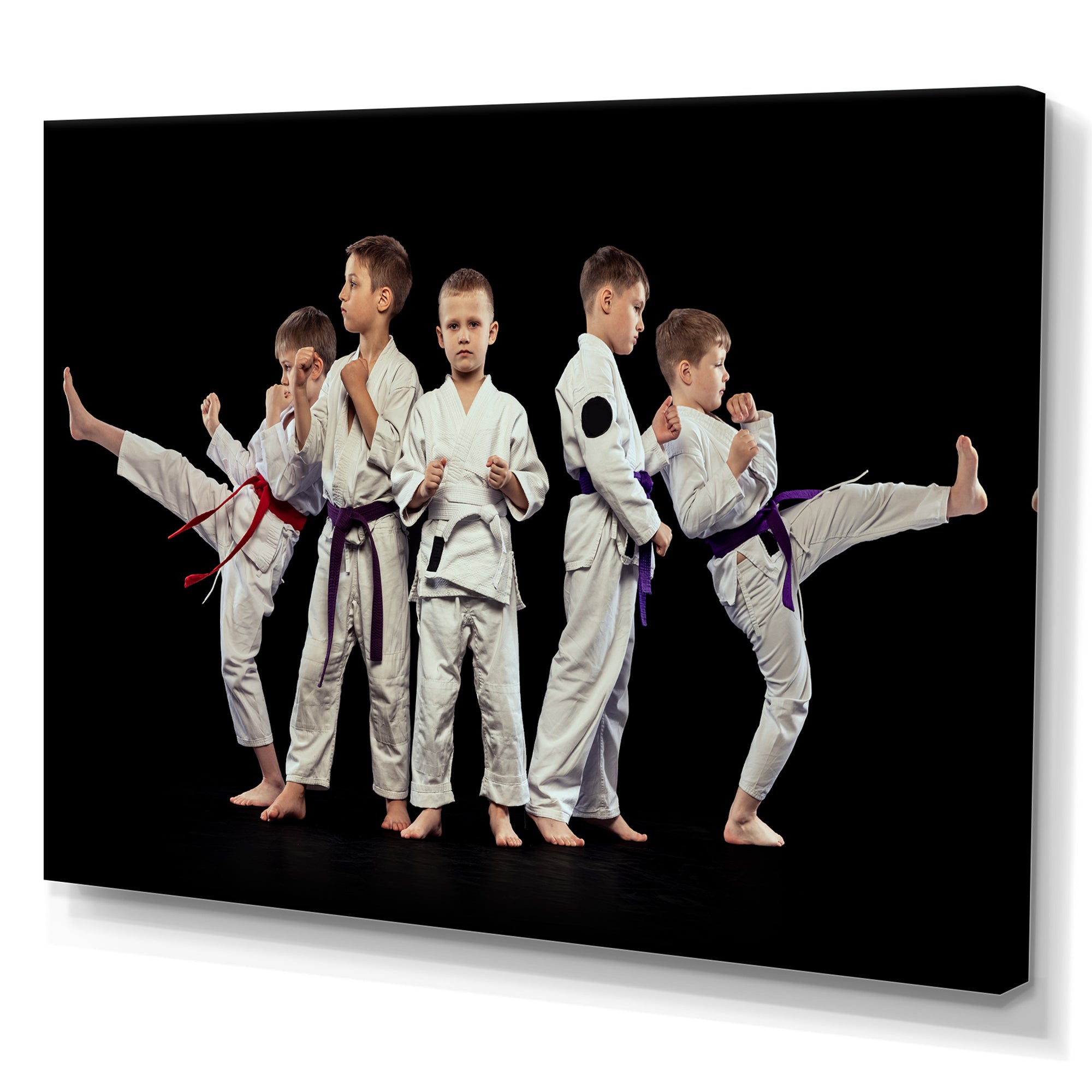 Karate Kids - Martial Arts Canvas Wall Art