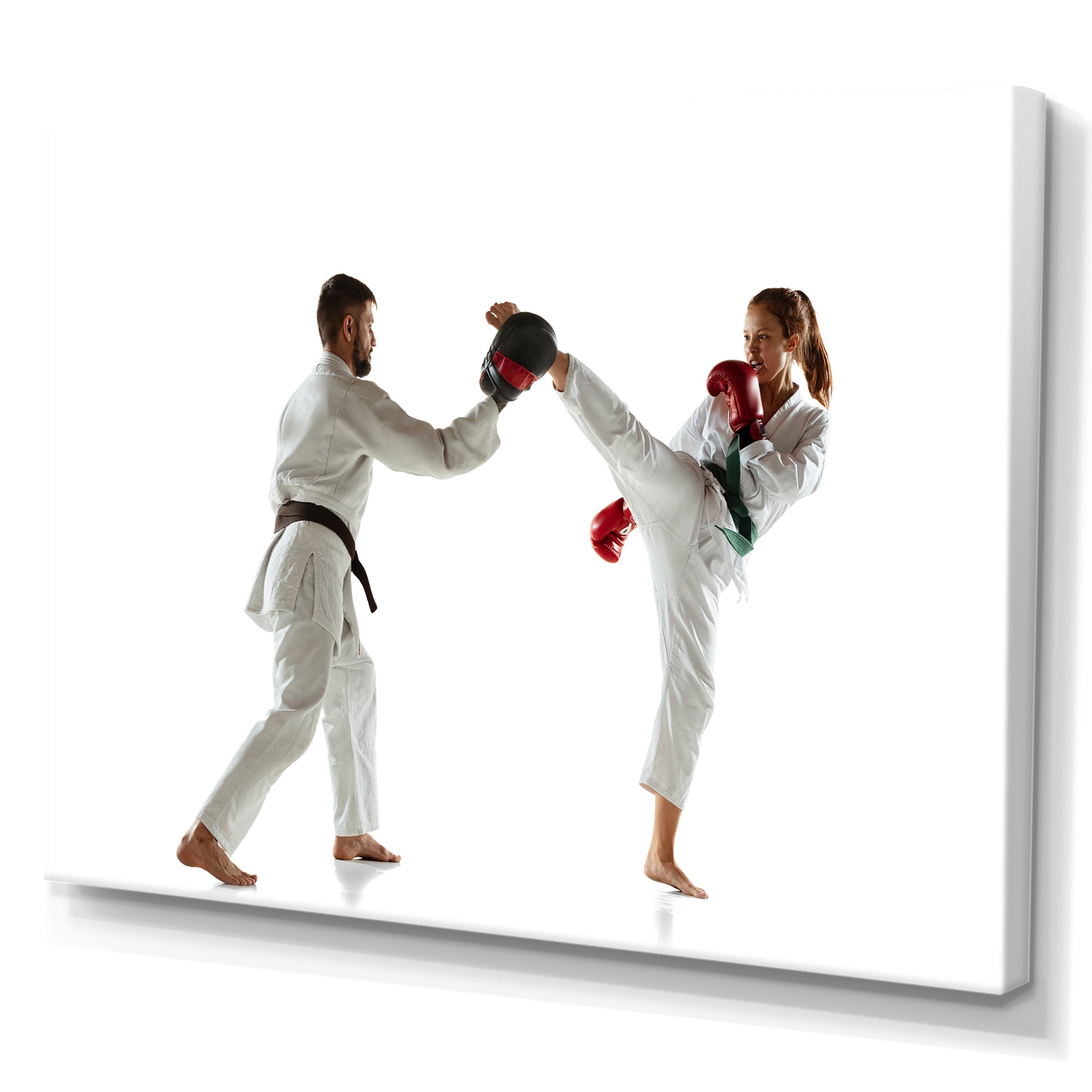 Practicing Combat In Martial Art - Martial Arts Canvas Wall Art