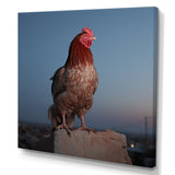 Cock a Doodle Dusk Rooster - Chicken Wall Art Prints