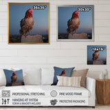Cock a Doodle Dusk Rooster - Chicken Wall Art Prints