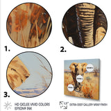 Grey Elephant in African horizon - Elephant Framed Canvas Art