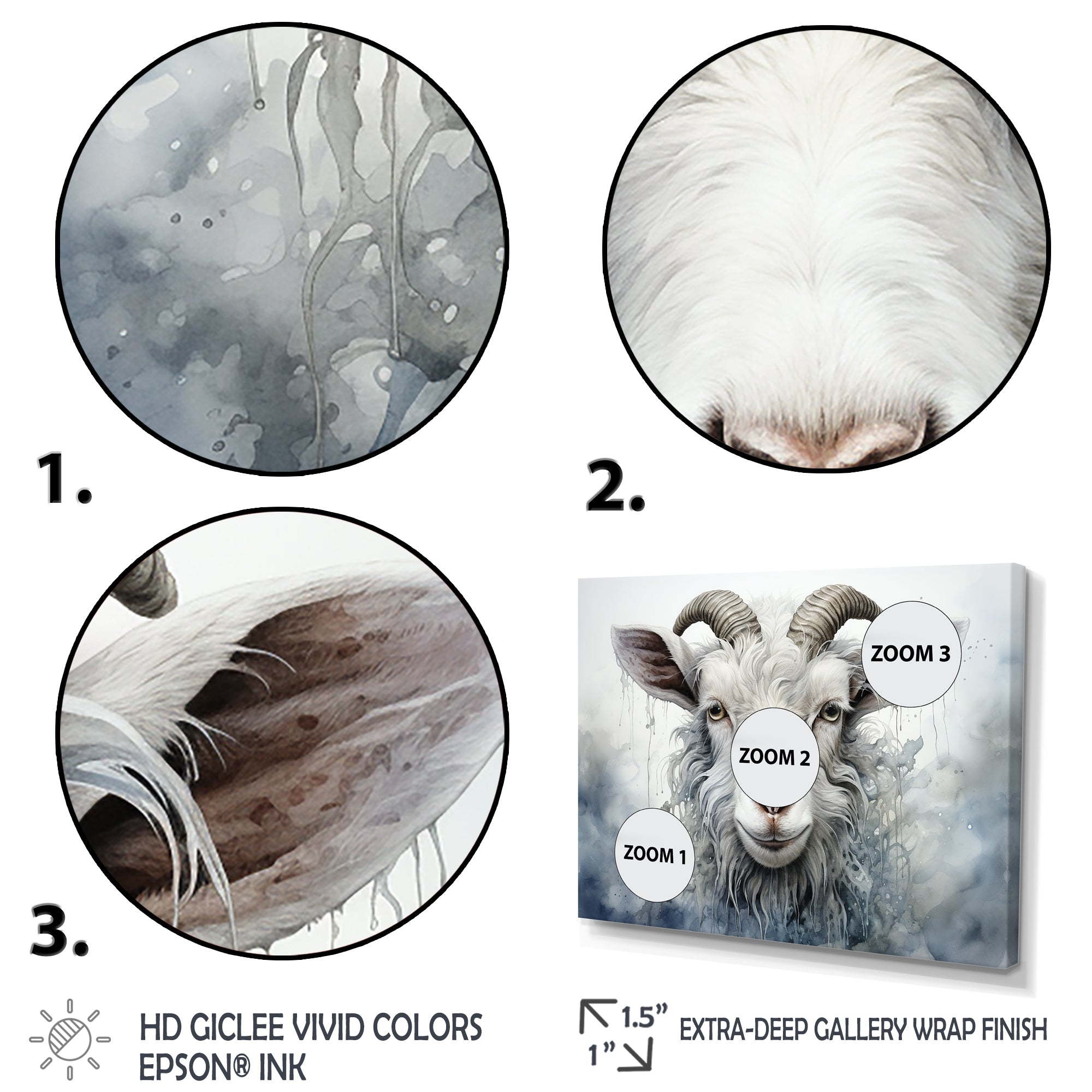 White Grazing Goat portrait - Goat Wall Art Prints