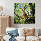 White Portrait of Pastoral Goat in forest - White Goat Wall Art